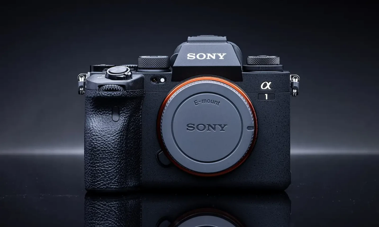 Sony Alpha 1 - Photo 1 sur 1