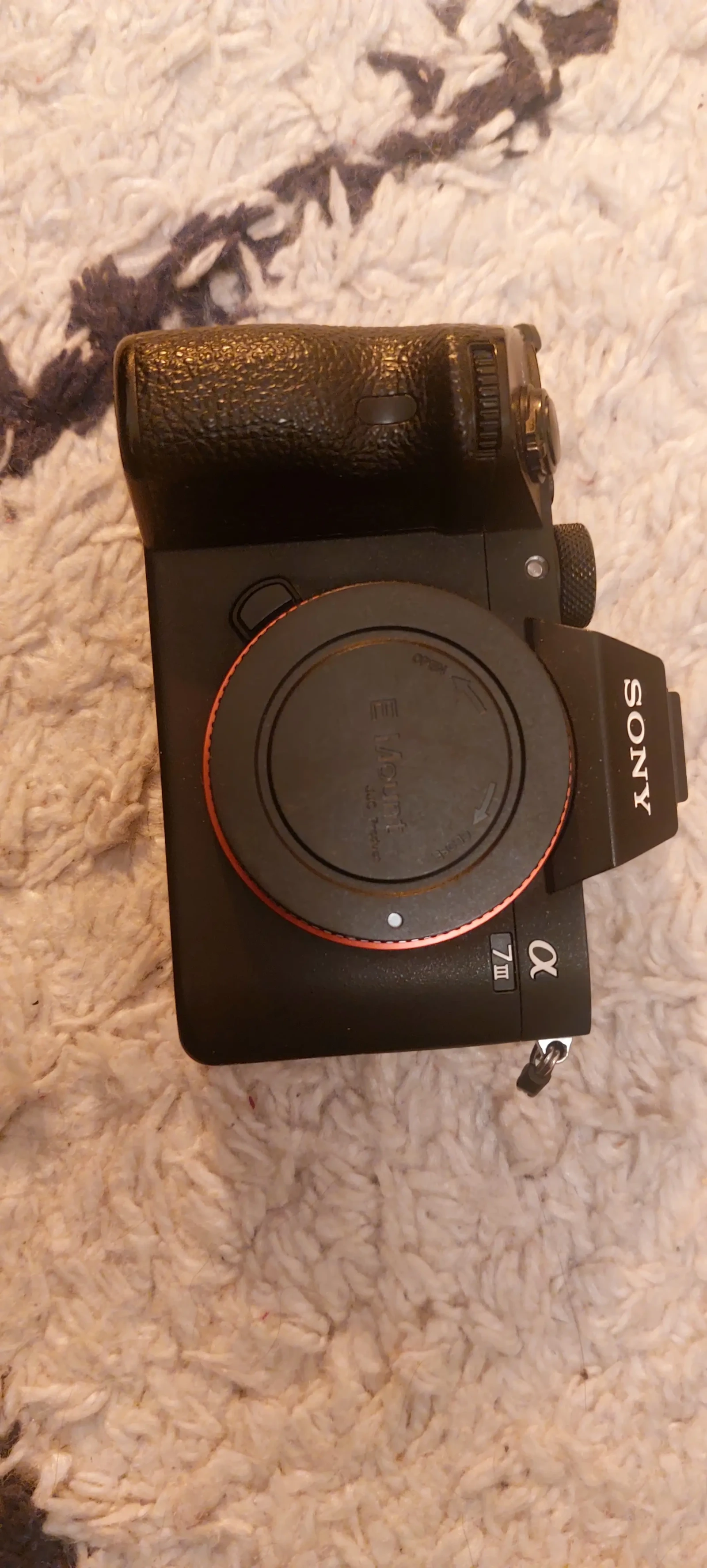 Sony Alpha 7 III (A73) - Photo 1 sur 2