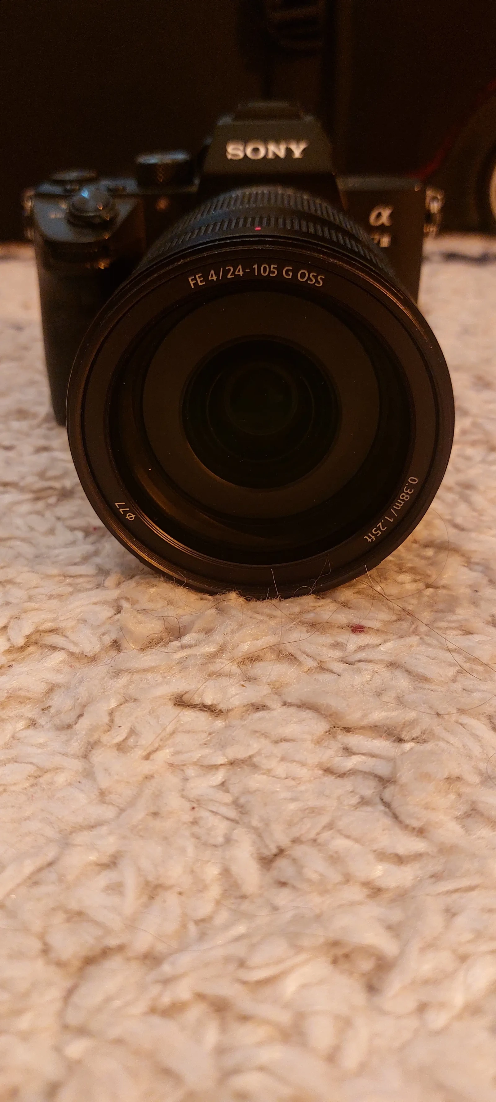 Sony 24-105 mm F/4 OSS - Photo 3 sur 3