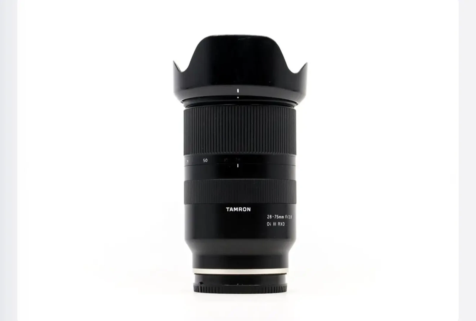 SONY ALPHA 7 IV - Photo 10 sur 18