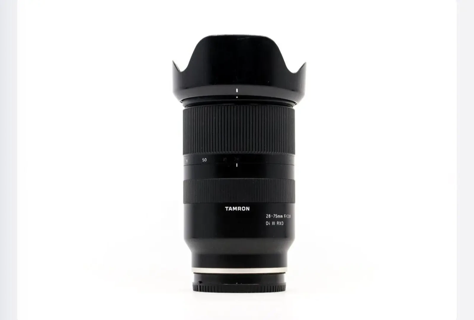 SONY A 7 IV - Photo 6 sur 14