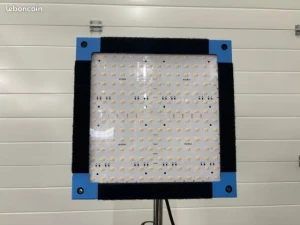 Location Exalux LedZep Punch 1x2