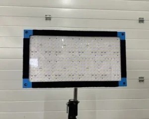 Location Exalux LedZep Punch 1x2