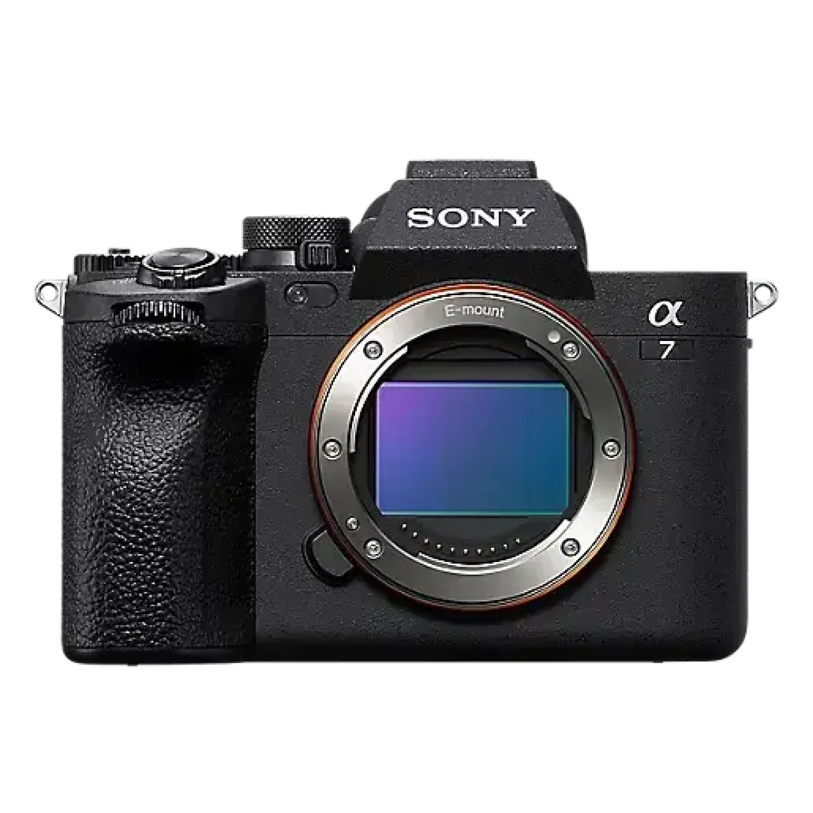 Sony Alpha 7 IV (A74) - Photo 1 sur 1