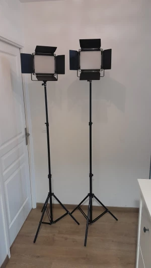 Location Neewer Panneau LED 660 Bi Couleur