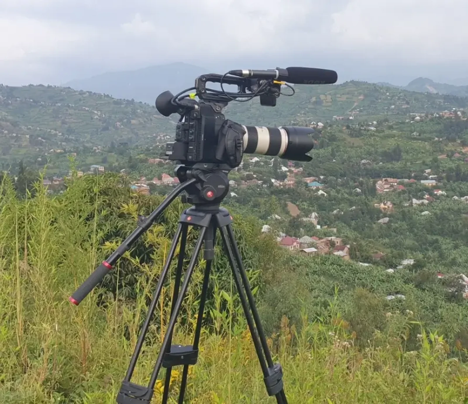 Pack C300 Mark II - Photo 1 sur 2