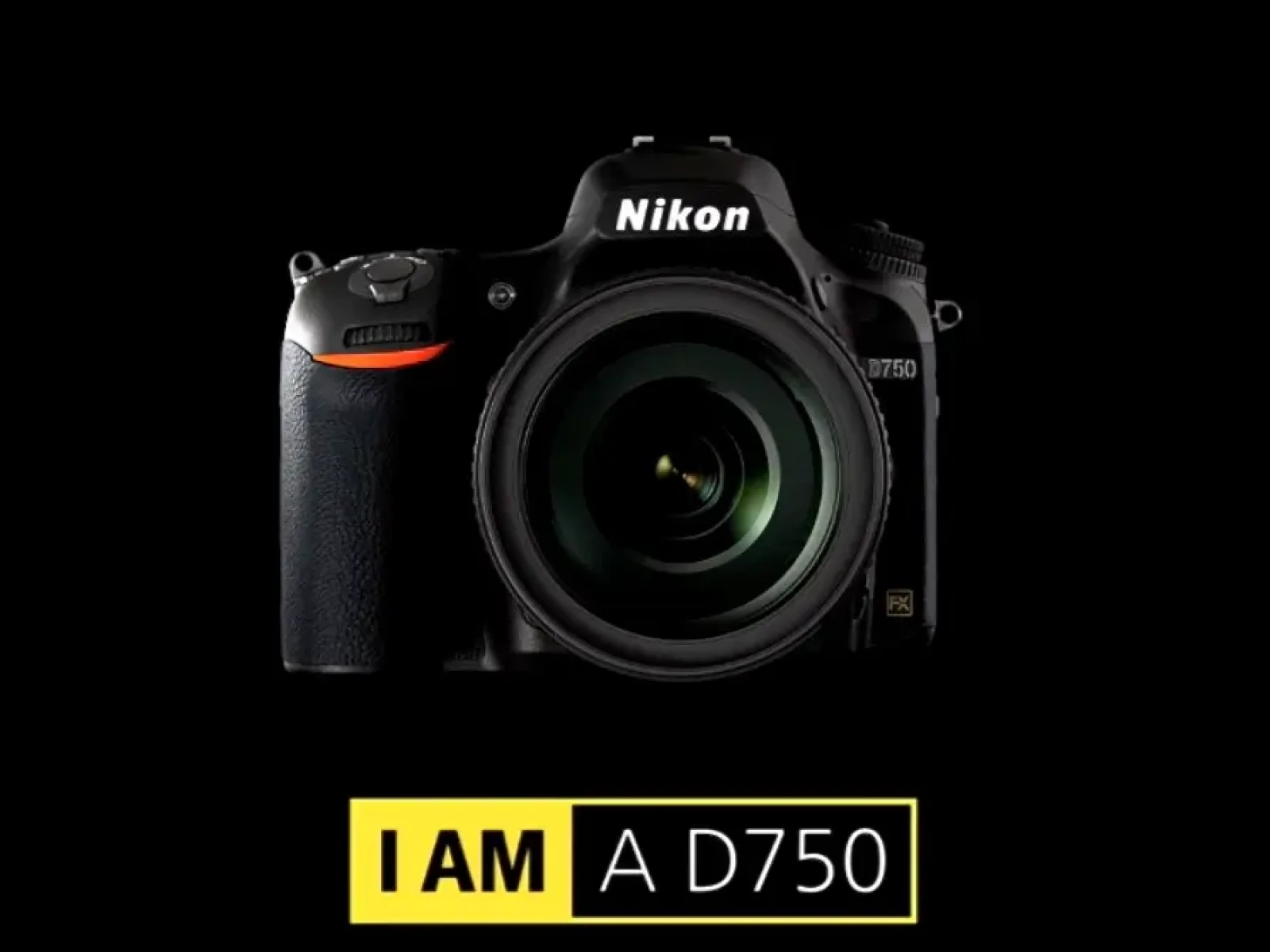 Nikon D750 - Photo 1 sur 4