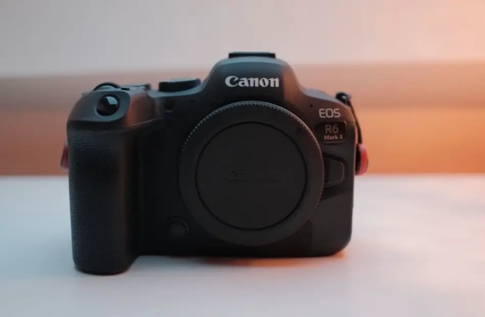 Canon R6 Mark II - Photo 1 sur 1