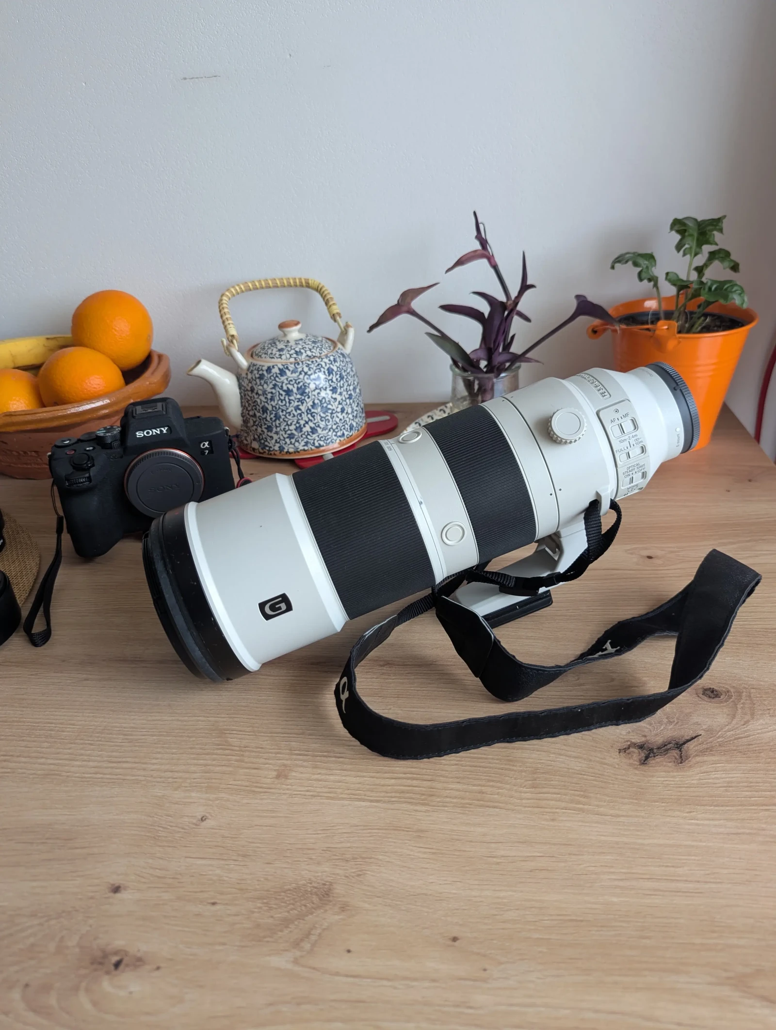 Sony FE 200-600mm f/5.6-6.3 G OSS - Photo 2 sur 3