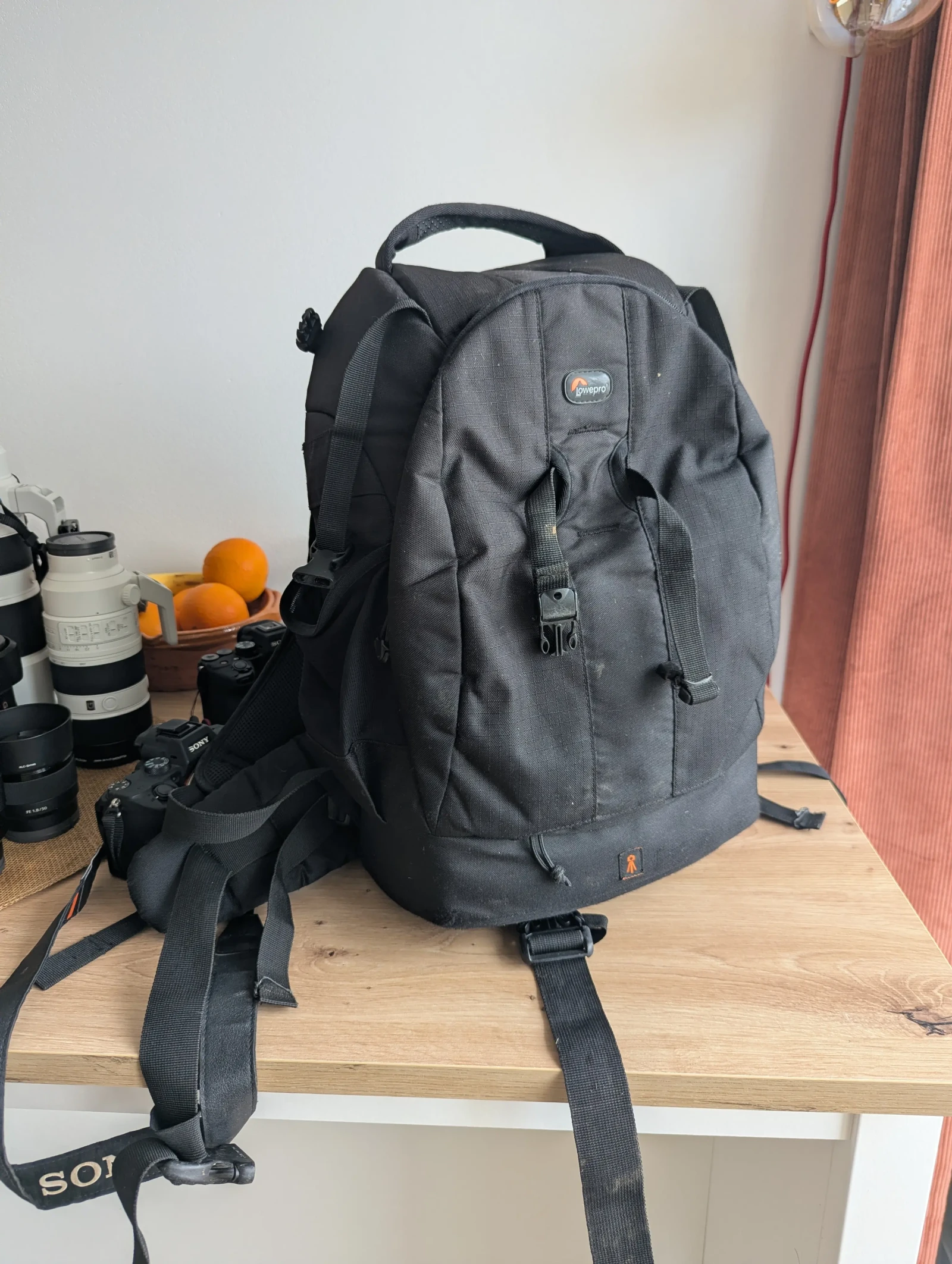 Lowepro sac à dos Flipside 400 AW - Photo 1 sur 2