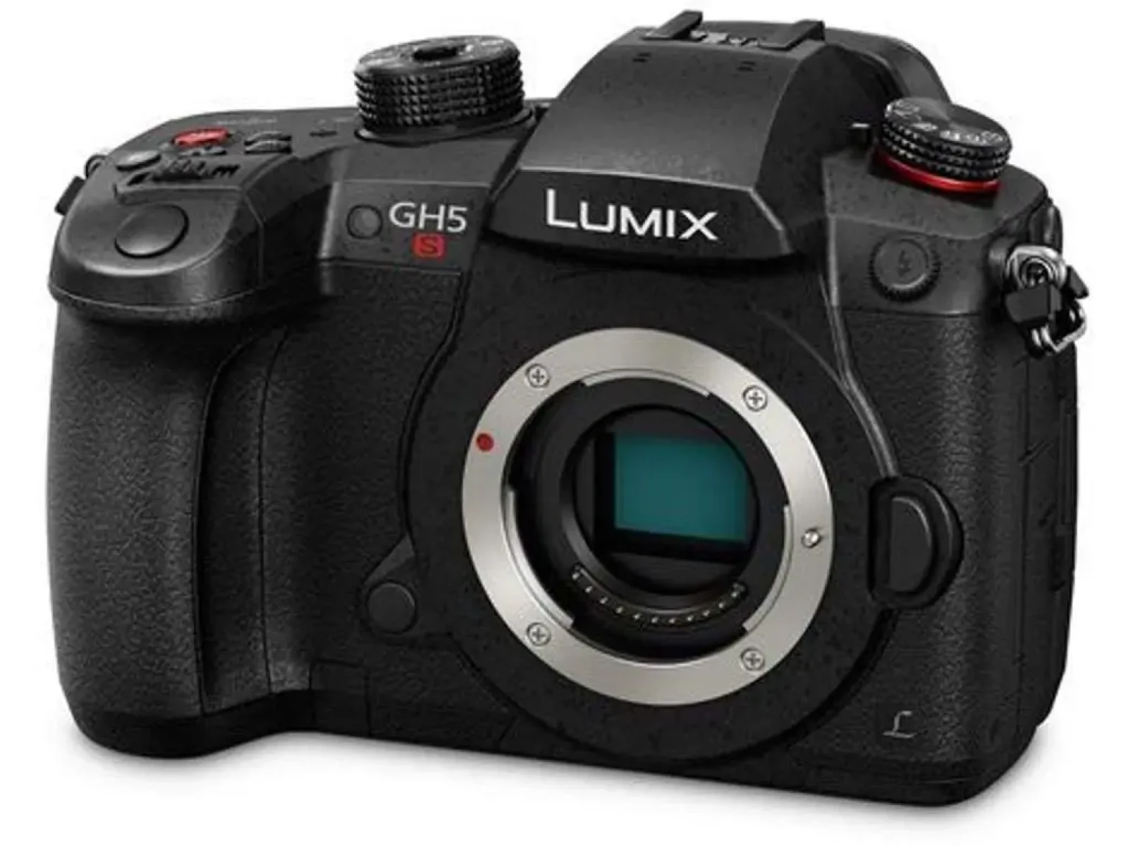 Panasonic LUMIX GH5S - Photo 1 sur 1