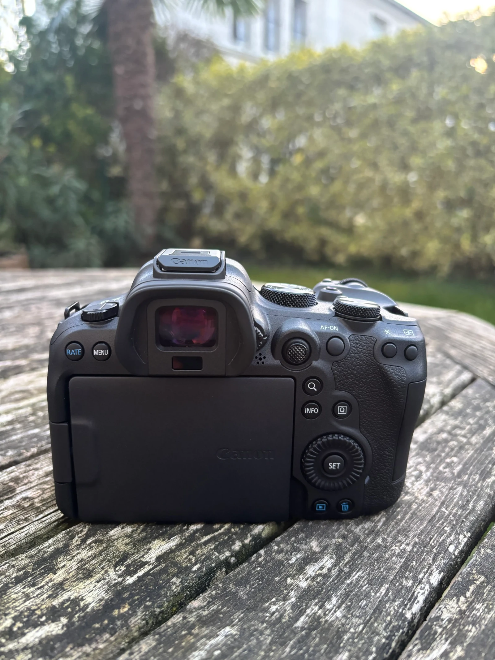 Canon EOS R6 Mark II - Photo 4 sur 5
