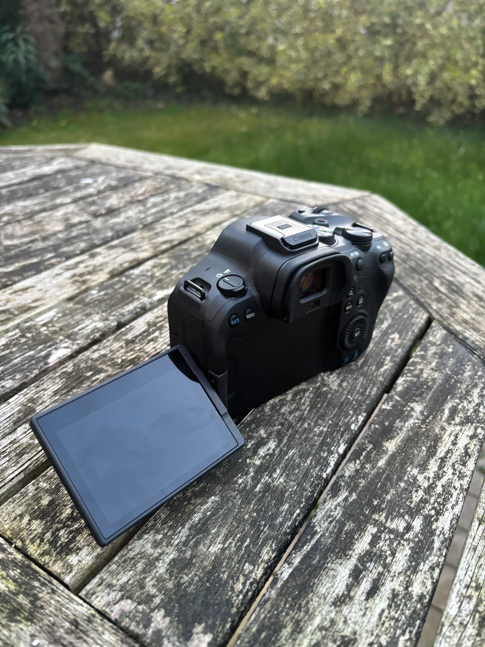 Canon EOS R6 Mark II - Photo 2 sur 5