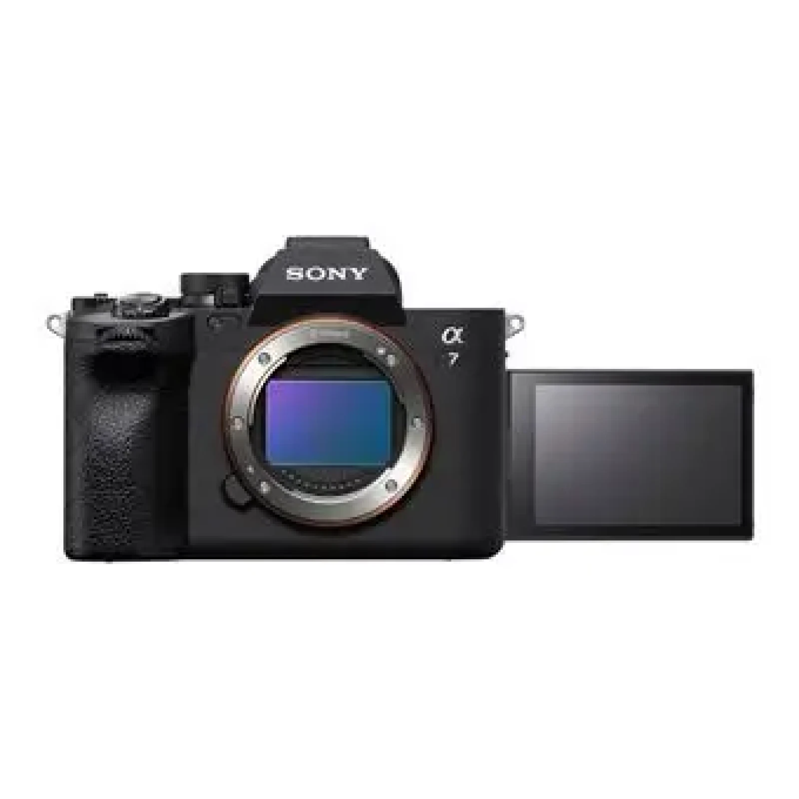 Sony Alpha 7 IV (A74) - Photo 2 sur 2