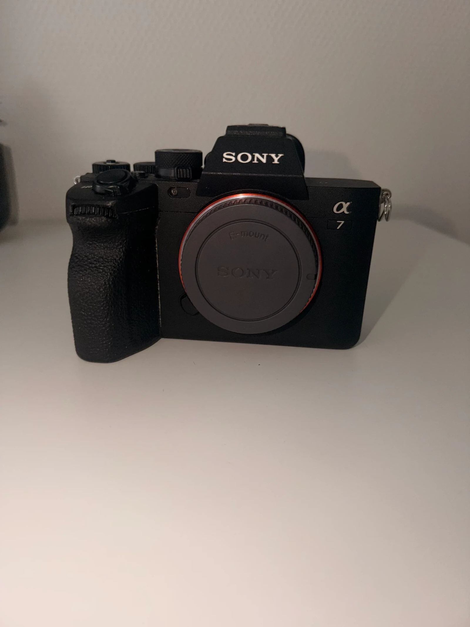 Sony Alpha 7 IV (A74) - Photo 4 sur 4