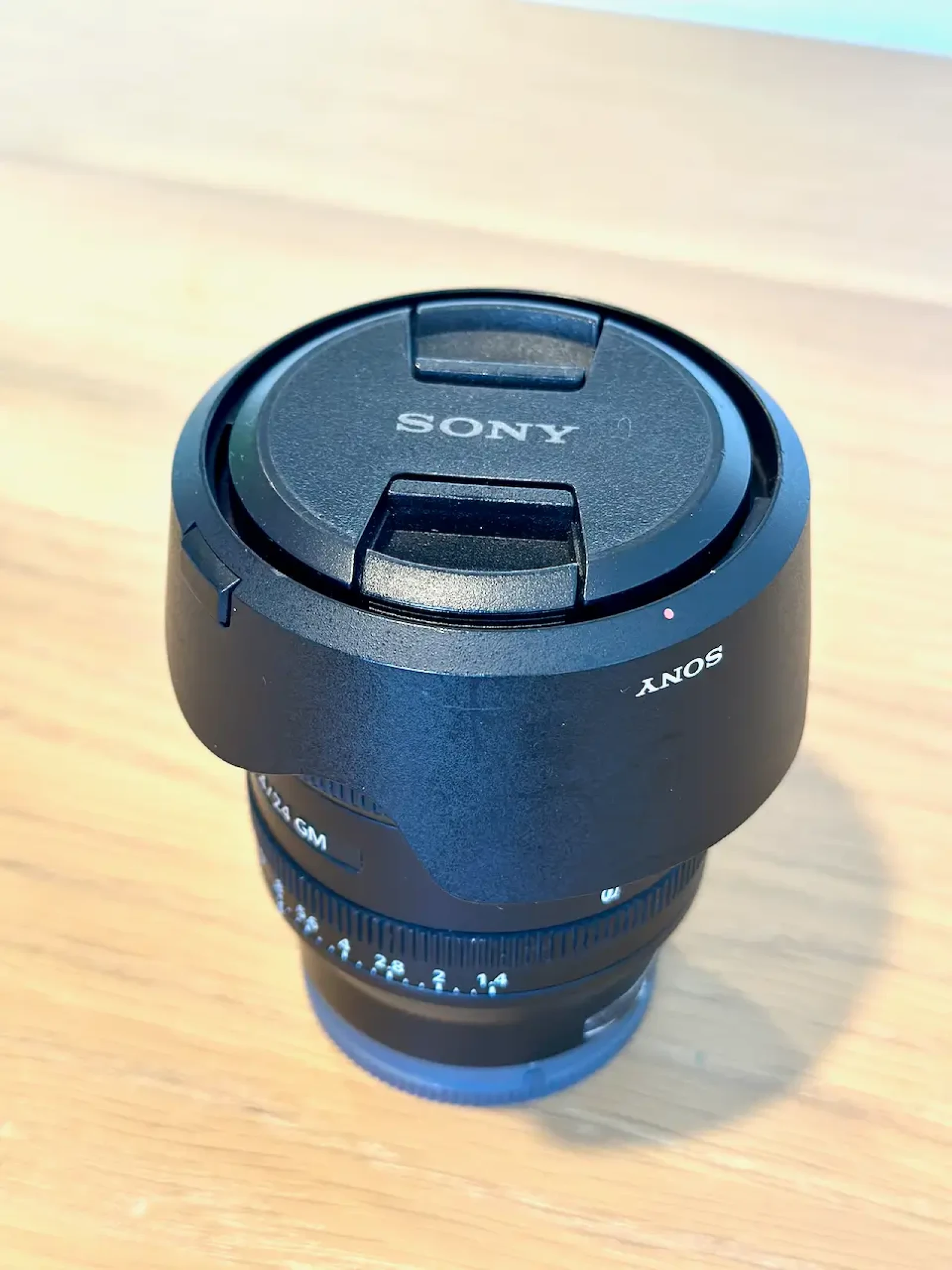 Sony A7R5 + Sony FE 24 mm F/1.4 GM - Photo 11 sur 15