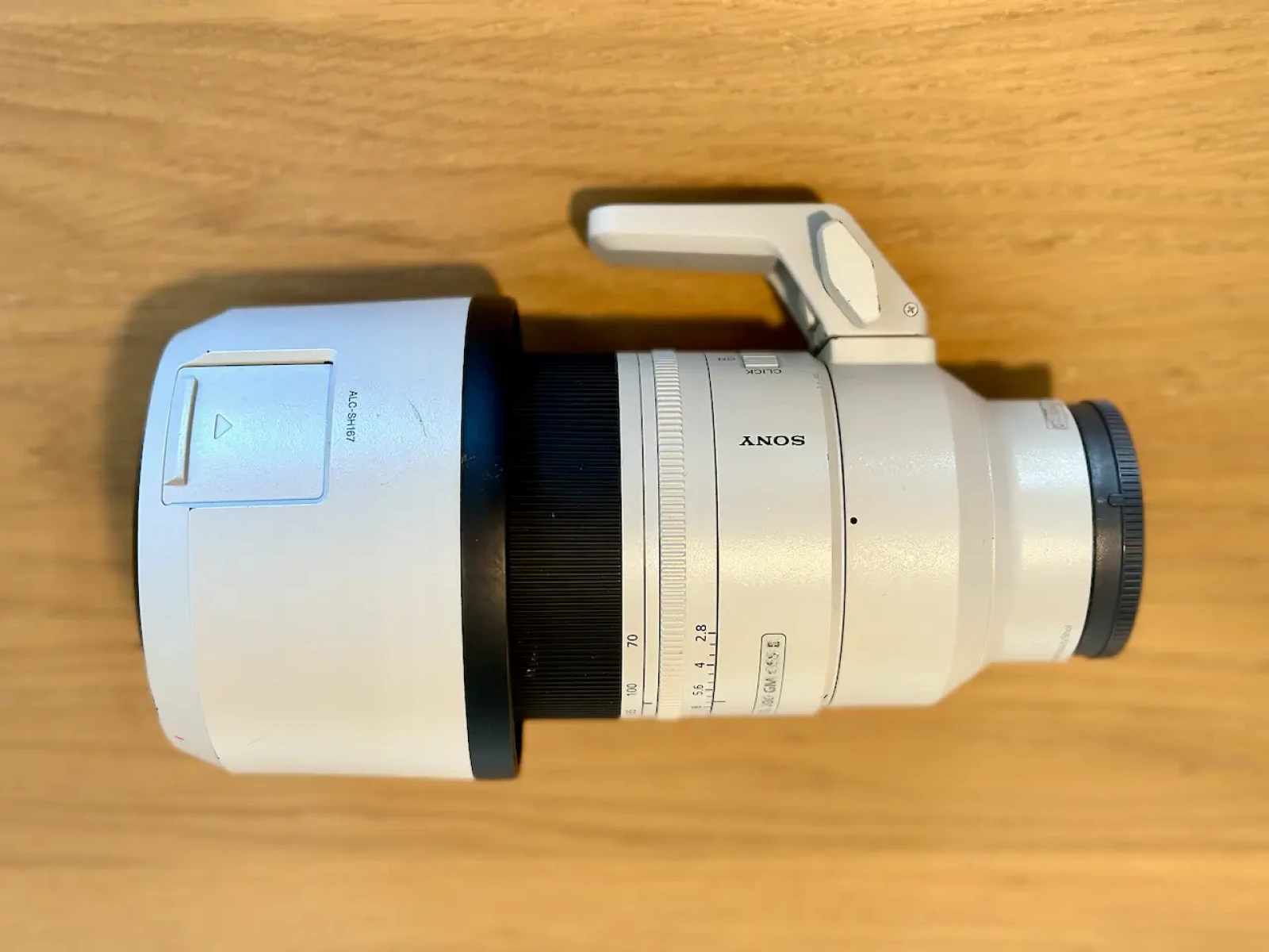 Sony A7R5 + Sony FE 70-200 mm F/2.8 GM OSS II - Photo 11 sur 15