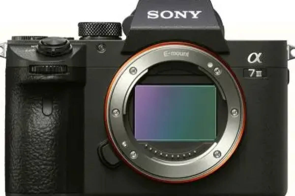Location Sony Alpha 7 III (A73) - Lightyshare