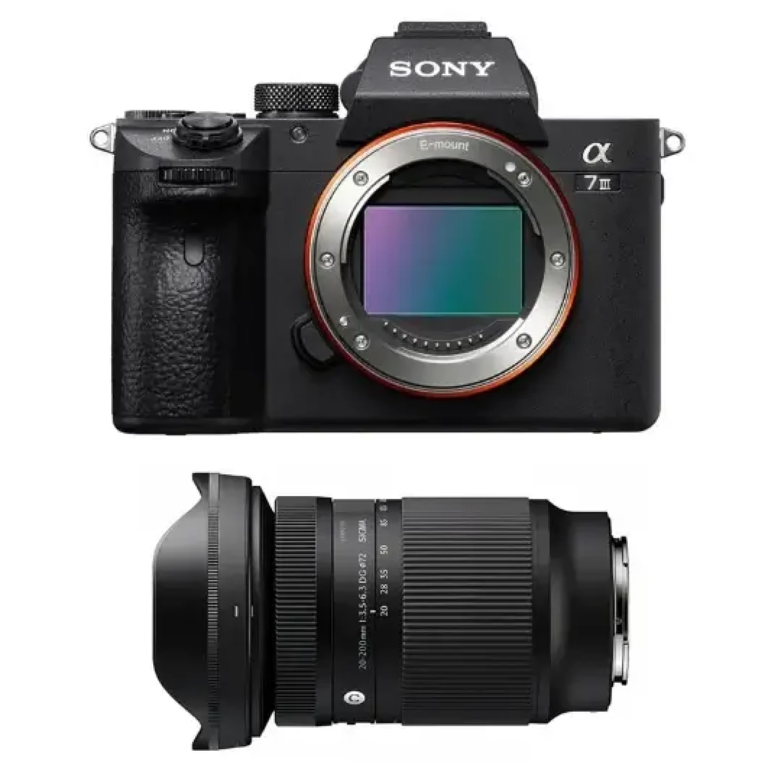 Sony Alpha 7 III (A73) - Photo 1 sur 1