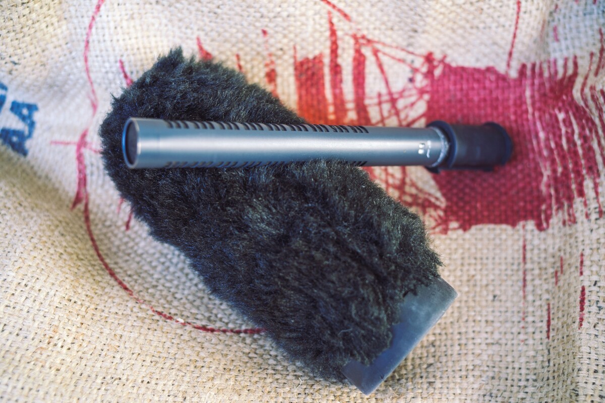 Location Neumann KMR 81 - Lightyshare