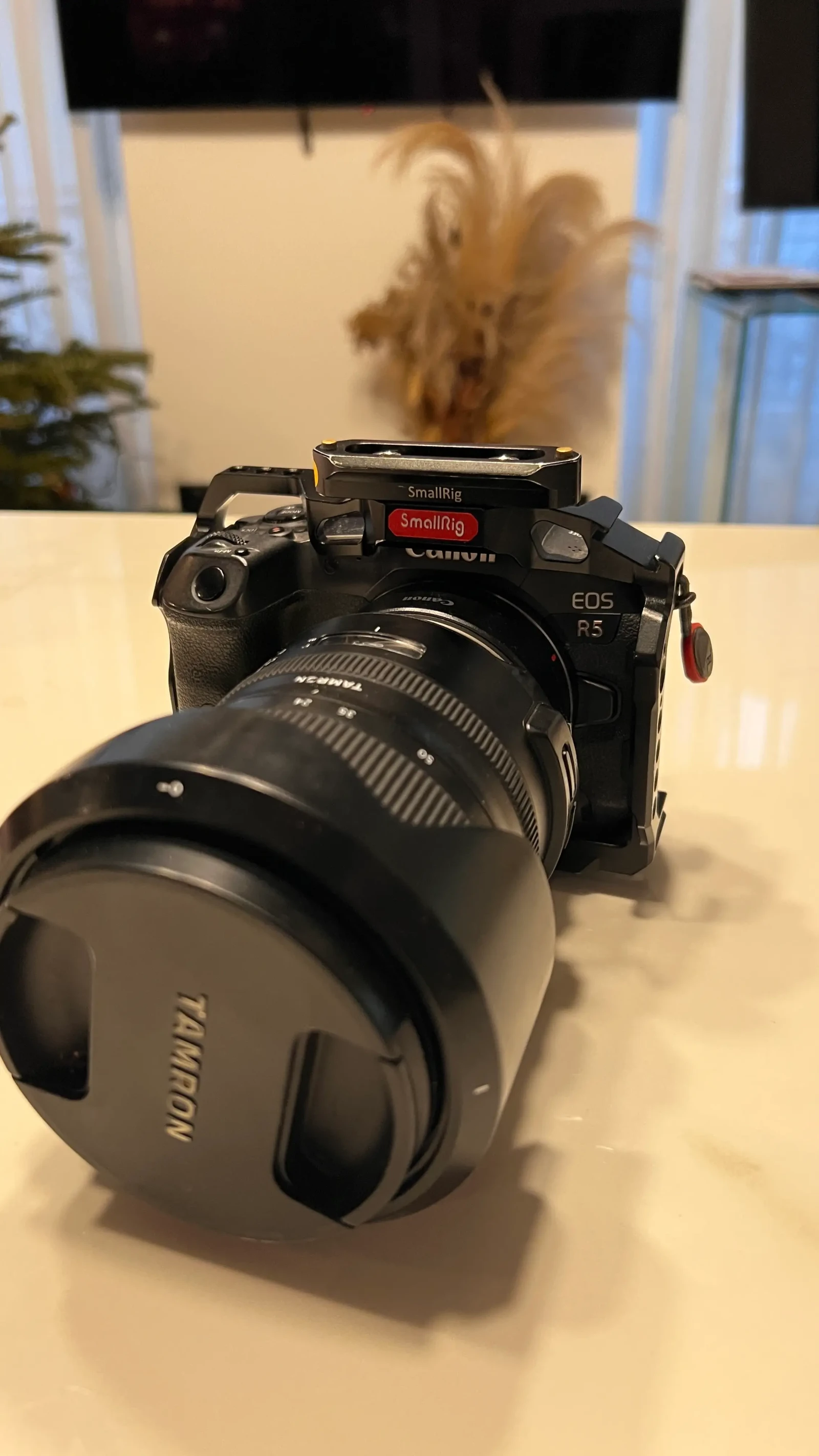 Canon EOS R5 - Photo 5 sur 5