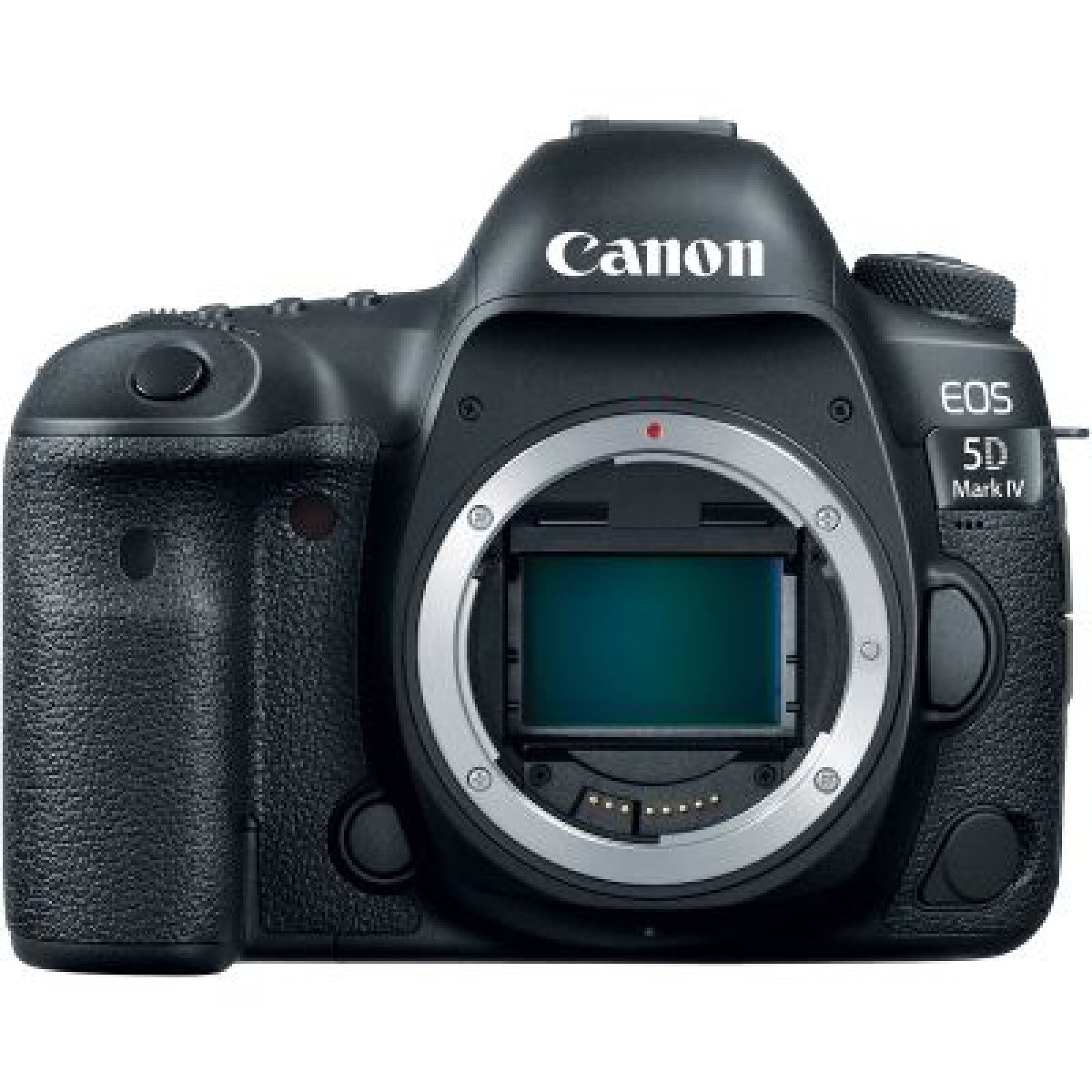 Canon 5D MARK IV - Photo 1 sur 1