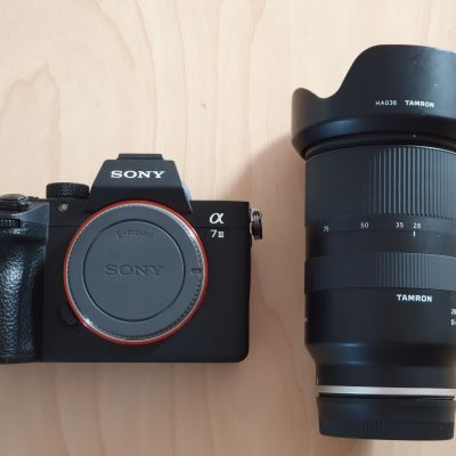 Sony A7 III + 28-75mm F/2.8 - Photo 1 sur 3