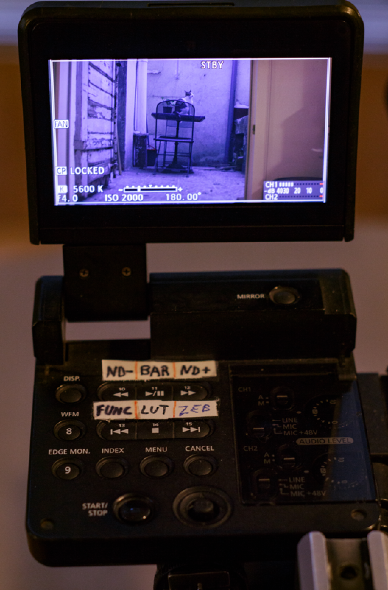 Canon EOS C300 - Photo 3 sur 4
