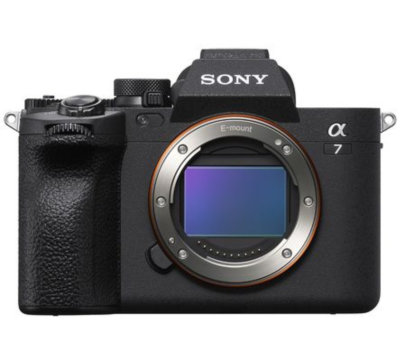 Sony Alpha 7 IV (A74) - Photo 1 sur 1