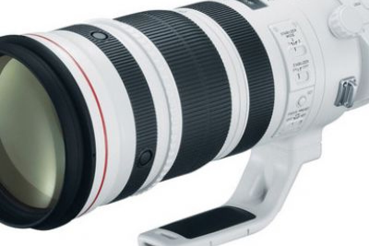 Location CANON 200-400MM EF F/4 L IS USM avec mutiplicateur 1.4x intégré - Lightyshare