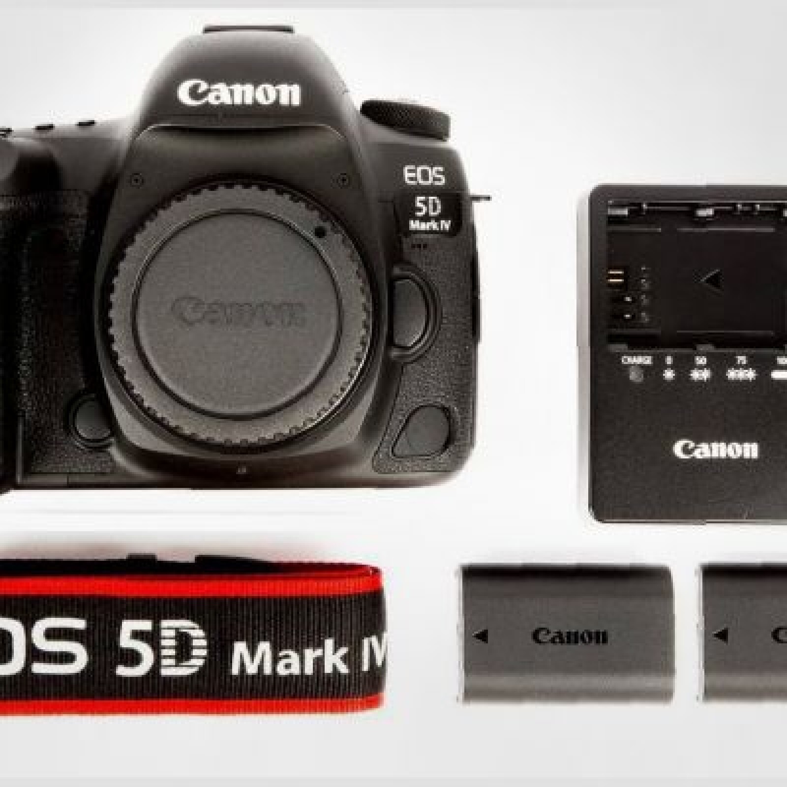 Canon 5D MK4 + Objectif au choix - Photo 2 sur 4