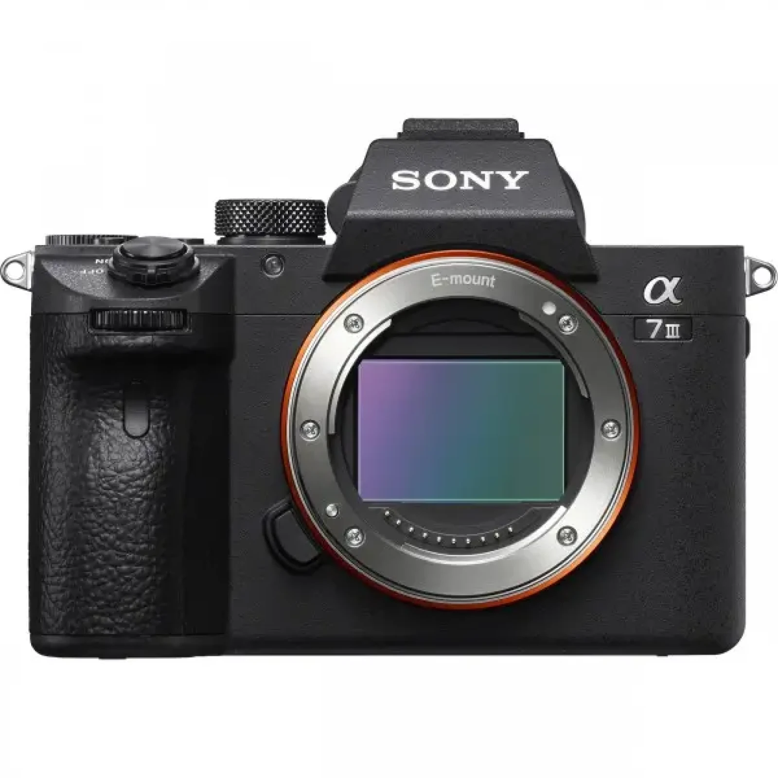 SONY A7III - Photo 1 sur 1