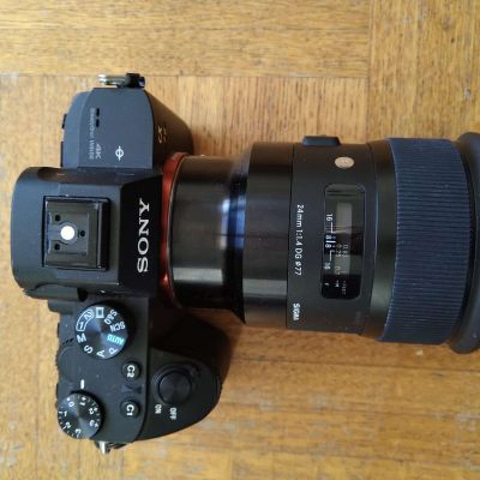 Sony A7 III - Photo 2 sur 2