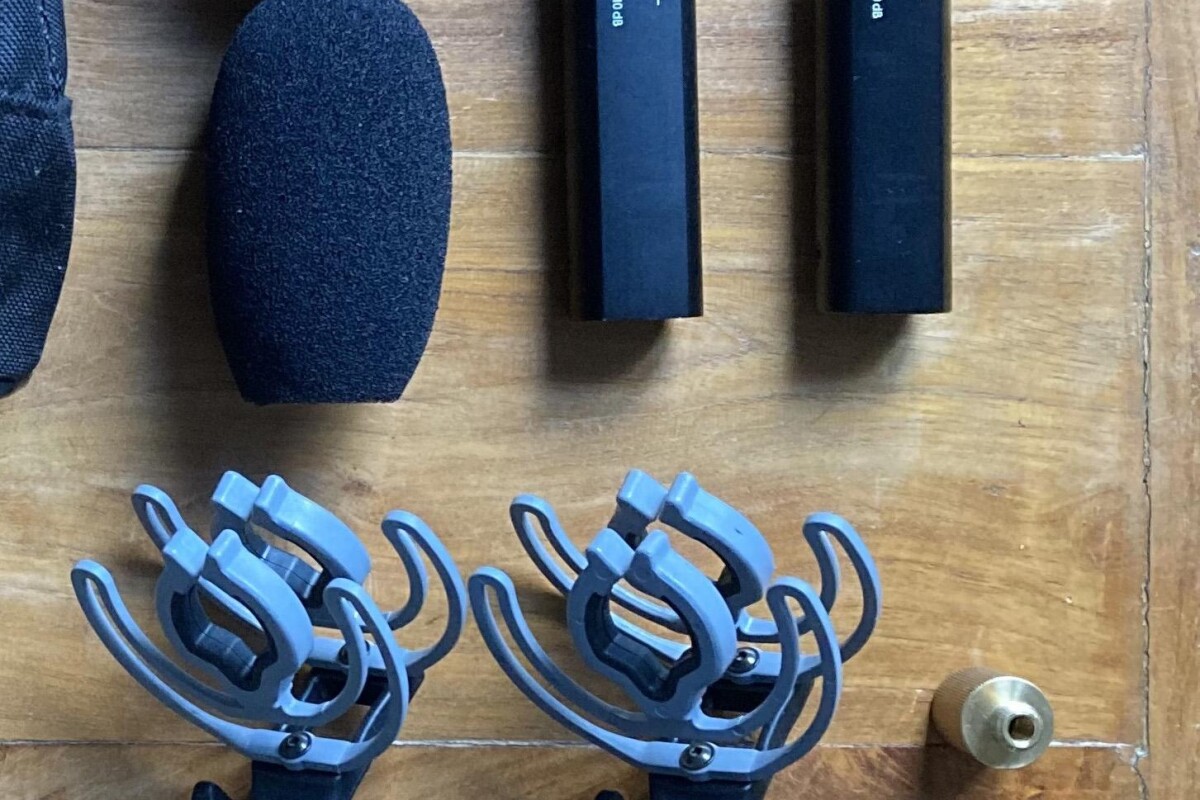 Location Paire de Sennheiser MKH 40 - Lightyshare