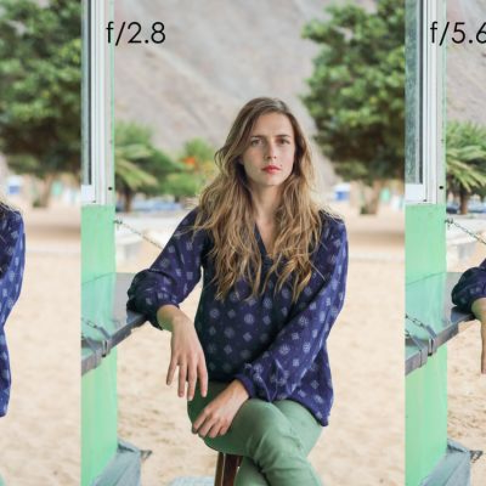 50mm f 1.8 Canon - Photo 2 sur 2