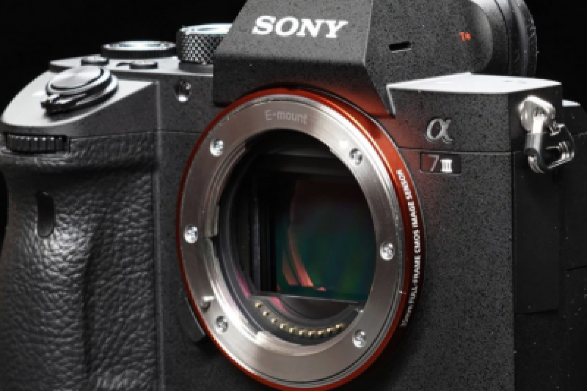 Location SONY ALPHA 7 III + cartes memoires + 3 Batteries - Lightyshare