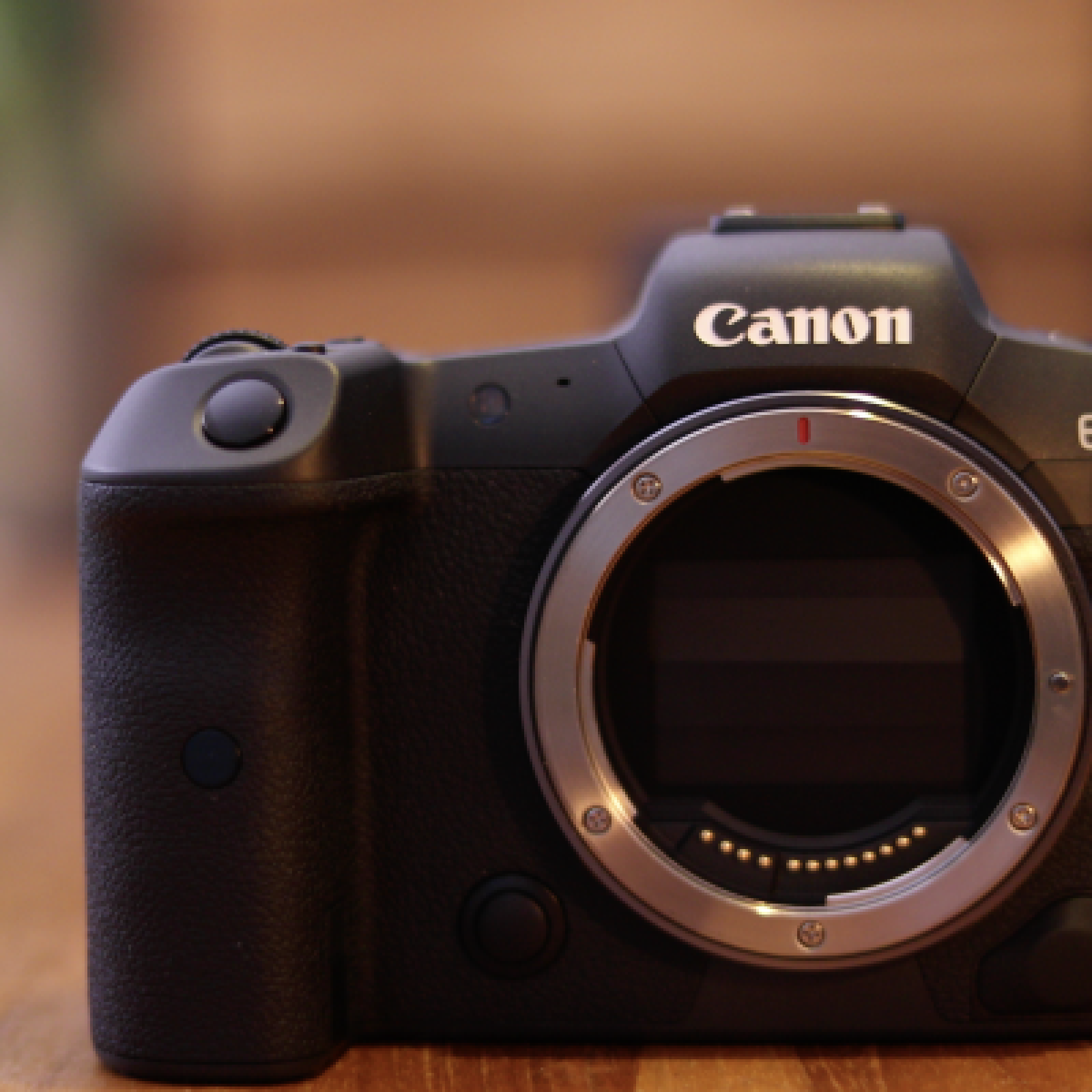 Canon EOS R5 - Photo 1 sur 4