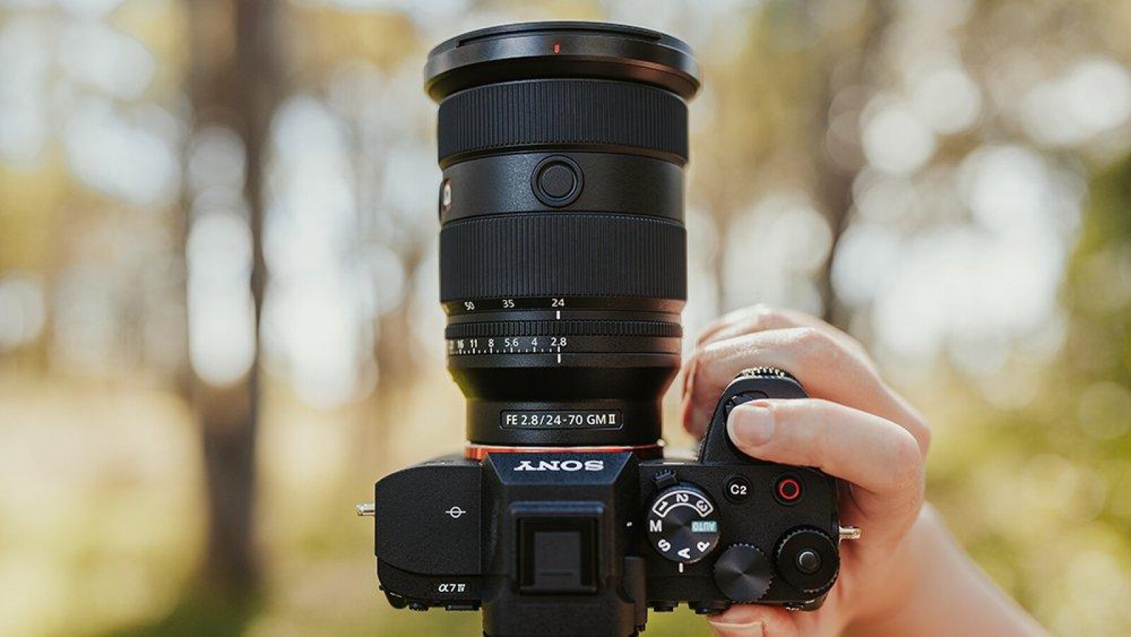 Sony 24-70mm f/2.8 GM II - Photo 2 sur 5
