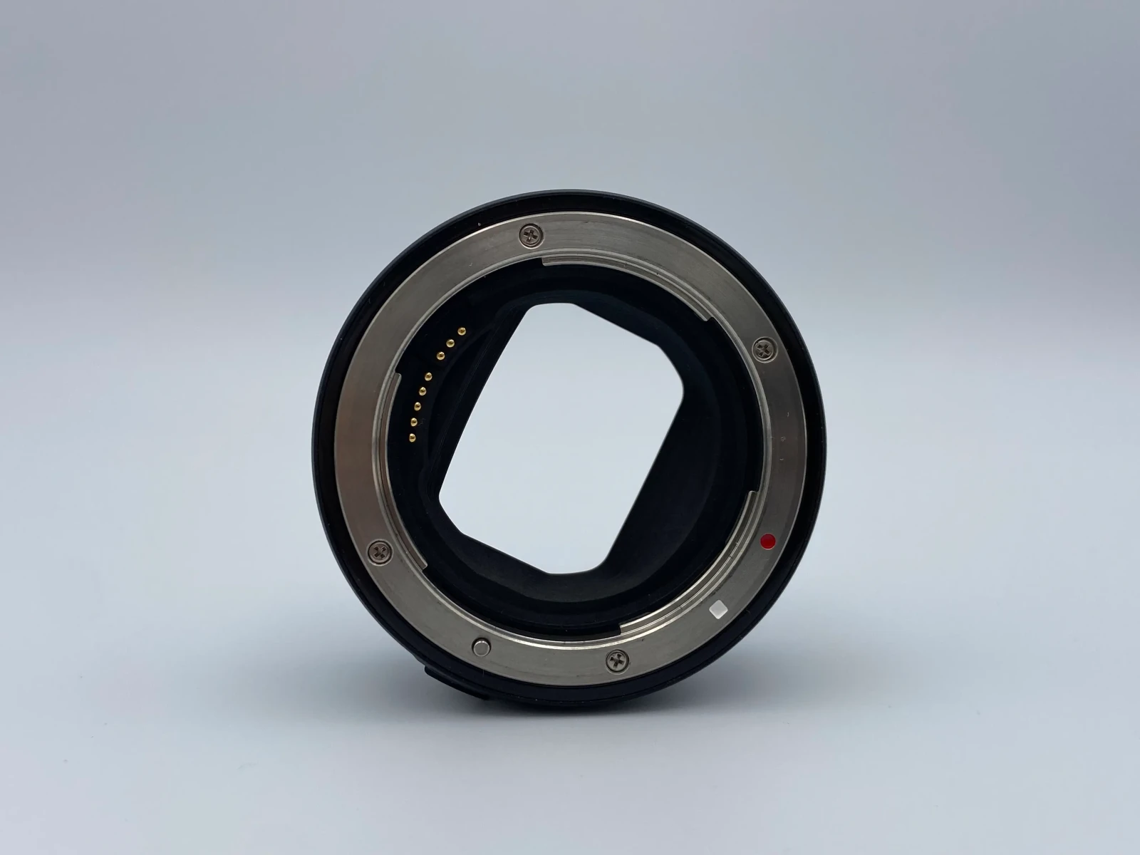 Canon R6 Mark II - Photo 4 sur 4