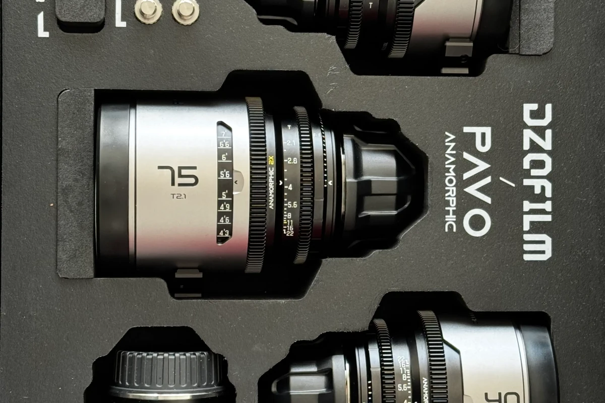 Location Dzo pavo Pavo anamorphique - Lightyshare