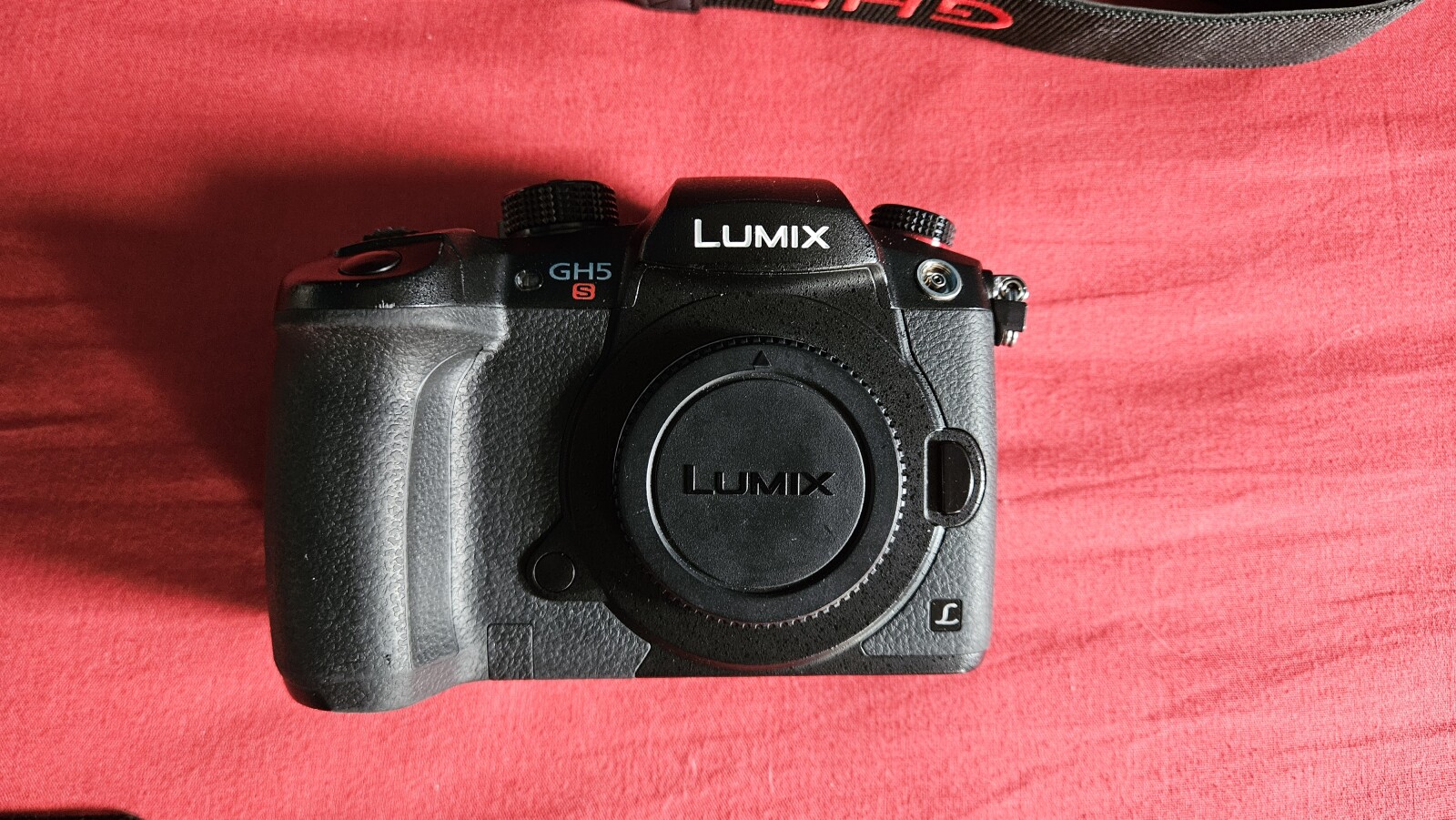 Panasonic LUMIX GH5S - Photo 1 sur 1