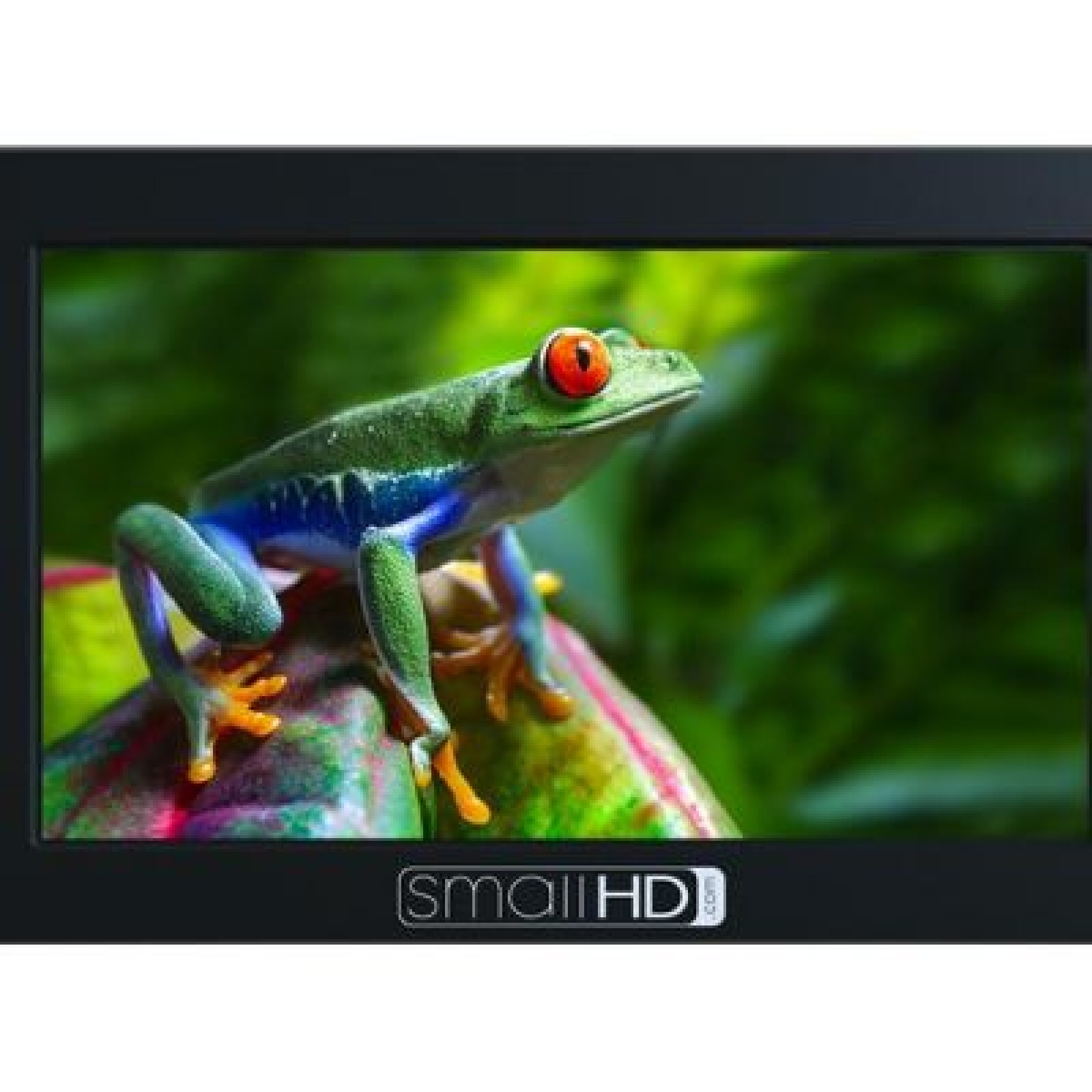 SmallHD focus SDI 5" - Photo 1 sur 5