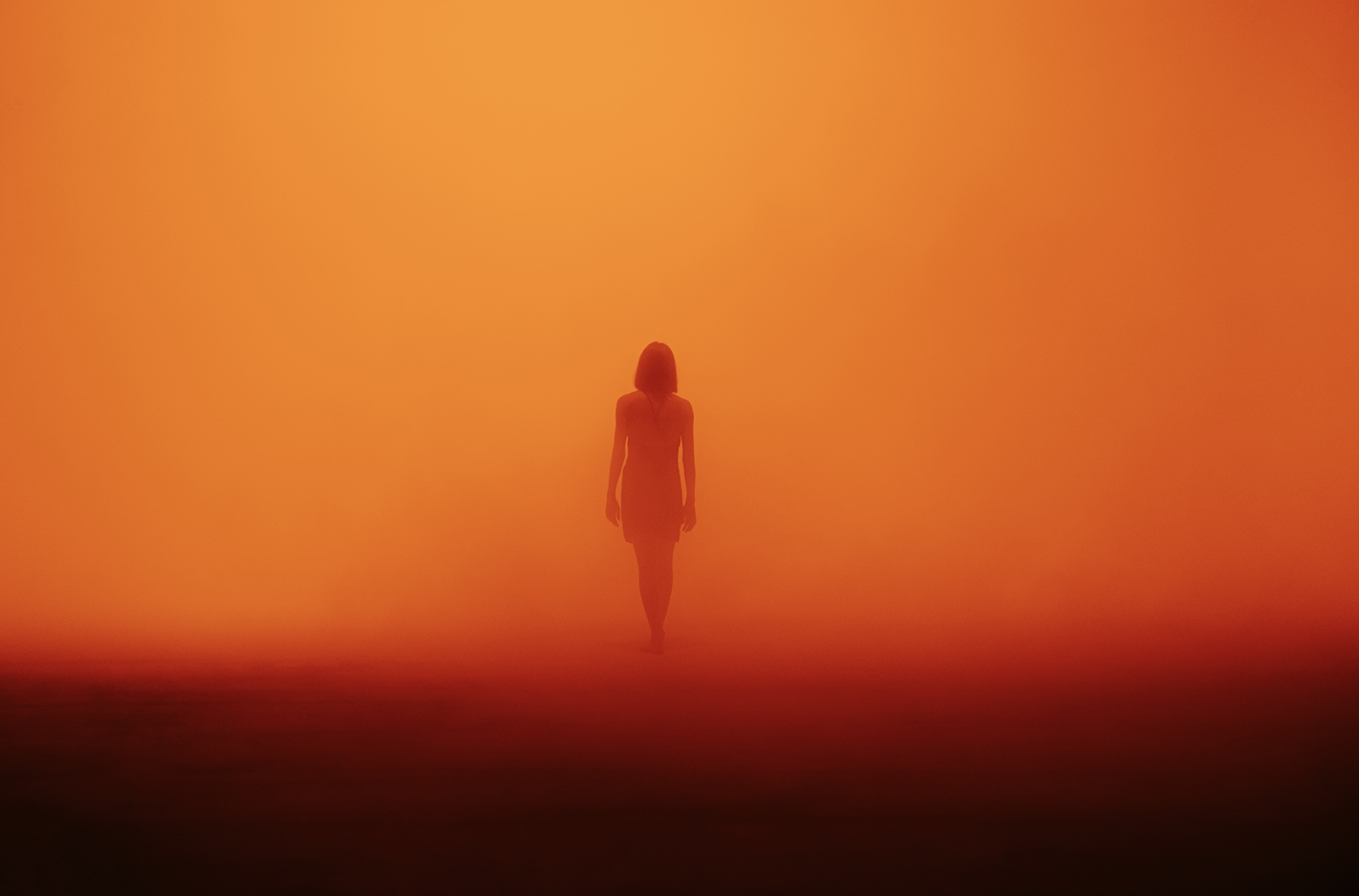 Diane D.